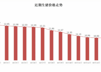 【财经分析】期现猪价连续两日反弹 猪价能否迎来涨势？