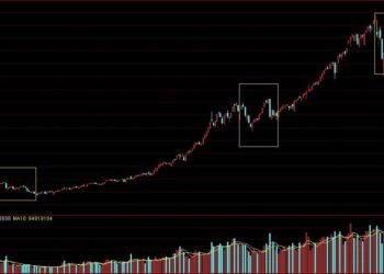 不要让市场喧嚣干扰你的财富晋阶——道达对话牛博士