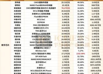国产芯片设计公司，谁是最大赢家？