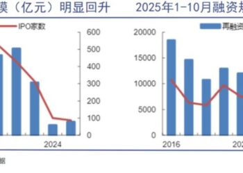 超级新股再现:英伟达第二还是中石油第二