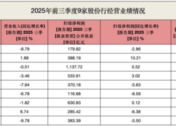 9家股份行前三季业绩分化:民生营收增速称冠,浦发盈利增长超10%