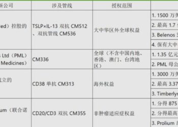 康诺亚的「虚拟帝国」