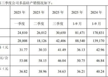 光伏新周期逻辑明牌：中期看「含储量」，「得AI者」赢终局