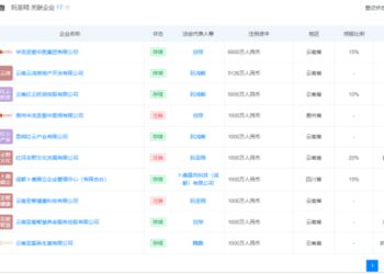 富豪阮鸿献给爱女发过亿大红包，已连续三年未登上胡润百富榜