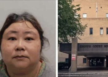 「比特币女王」英国认罪 6.1万枚价值493亿！能否归还中国12.8万受害者