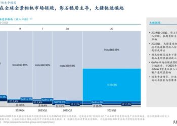 大疆、影石隔空「掐架」，成长焦虑下「互相抄家」