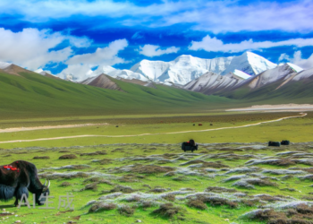 国资输血、港资撤退,天府文旅激进扩张「影旅融合」,是活水还是泥潭?