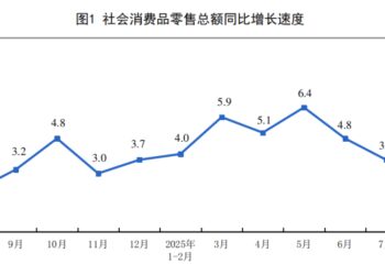 4500亿国补落幕,谁是最大受益者?