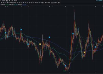 「最牛风投」接盘辰安科技：一个城市安全龙头的自救与再造