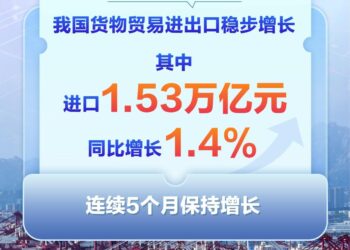 我国进口连续5个月保持增长