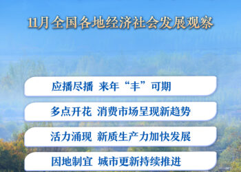 绘就笃行致远新图景——11月全国各地经济社会发展观察