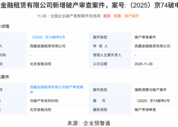 西藏金租申请破产，快速扩张与资金困局引发危机