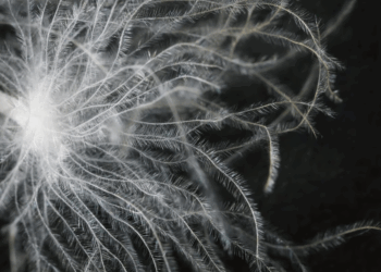 原材料暴涨，今年的羽绒服会越来越贵吗？