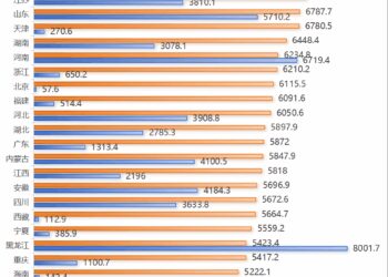 新疆,中国新粮仓