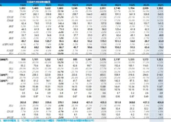 比亚迪:卷王被 「反卷」,迪王日子难混