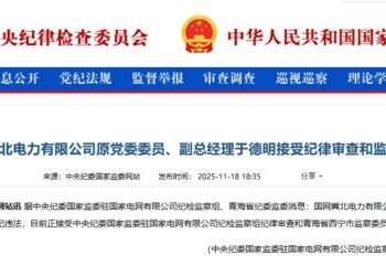 冀北电力等高管接连落马，电网反腐触及投资、设备采购等核心业务环节