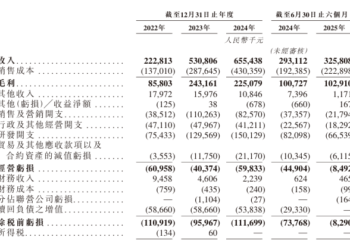 国内AI数字人「头牌」 硅基智能冲刺港股IPO