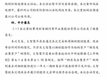 自然人突然发难，要求大智慧撤销股东大会决议，这个事情如何看？