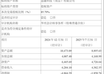 安凯微失血仍举债豪赌，十余家VC借道曲线退出