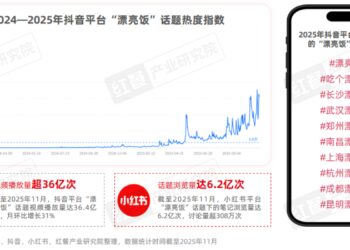 《餐饮行业「漂亮饭」研究报告2025》：漂亮饭风潮来袭，情绪消费成新风口？