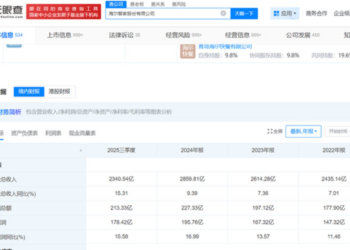 互联网大厂跨越2025：不出海，就出局；乱出海，也出局？