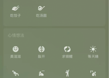 微信上线冬至限定状态：吃饺子和吃汤圆，你选哪一个？