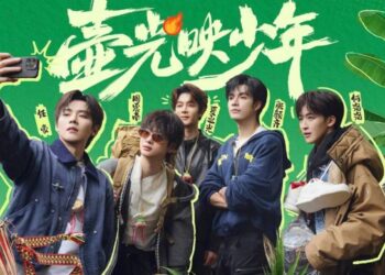 年底综艺被「再就业爱豆」挤爆了