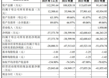 又一位「第五套标准」考生！三年半累亏超16亿元，信诺维商业引擎待验