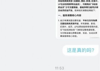 B站「全面付费」谣言后续：造谣者被行拘 官方严正辟谣