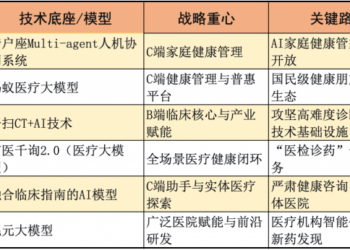 从工具到伙伴：2025年大厂AI医疗健康服务的路径分化