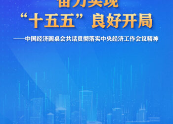中国经济圆桌会 | 奋力实现「十五五」良好开局——中国经济圆桌会共话贯彻落实中央经济工作会议精神