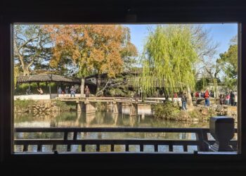 「退学不会死，也不会活不下去」｜985研究生告别优绩主义光环