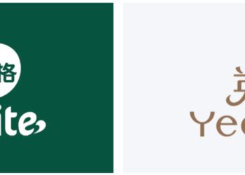 英氏IPO过会：混沌中前行，重营销下「烧」出来的辅食龙头