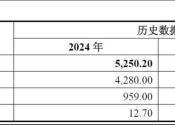 春秋电子跨界做液冷，靠大客户「回头草」支撑6亿豪赌？
