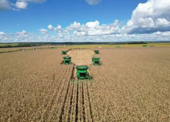 我国最大垦区北大荒集团粮食总产463.14亿斤实现「二十二连丰」