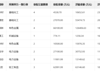公募发力定增 浮盈近110亿元