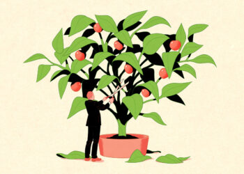 这些股票基金远超大盘，他们对2026年的投资选择是什么