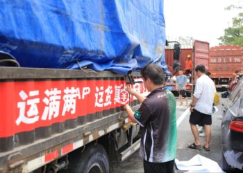 承载货物,更托举尊严:一场关于物流、平台与人的价值革命