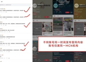 2025年,大公司的头号公敌是它