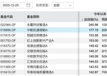 公募新传奇！冠军基年内收益240%，打破王亚伟18年纪录