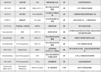 2025年，MNC又花了超100亿美元在这个赛道扫货
