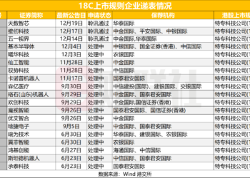 壁仞科技以18C通道冲刺「港股GPU第一股」，国产GPU四小龙上市集结中