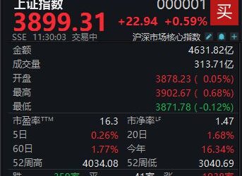A股震荡走强，沪指半日收涨0.59%
