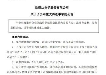 天价索赔后，欣旺达还能稳当「老六」吗？