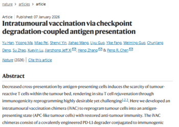 癌症疫苗新突破！北大化学团队巧施「特洛伊木马」计 成果已登Nature