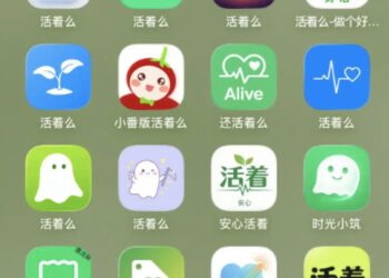 宏大叙事的创业的时代，互联网需要更多Demumu