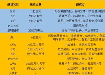融资与规模「双失速」，白犀牛何以冲刺「第一股」？
