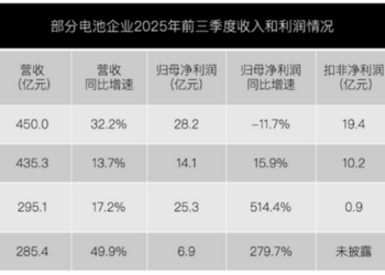 二线电池厂,活在巨头阴影下