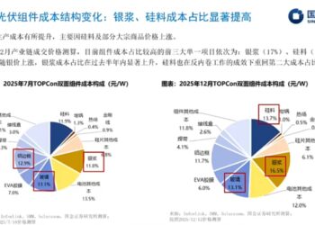 从拥硅为王到去银为王，谁将成为新一轮光伏周期的王者？
