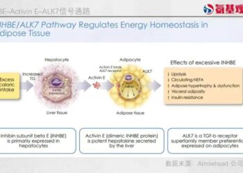 小核酸成了减肥药的新变数